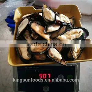 High Quality Half Shell Mussel With Good Price thumbnail-1