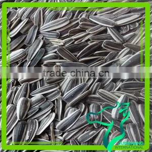 Black Sunflower Seeds In Shell thumbnail-1