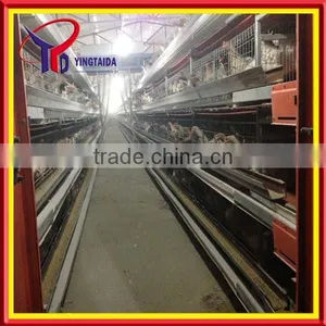 High Quality Design Layer Chicken Cages for Kenya Poultry Farm ( Full Poultry Equipment) thumbnail-4