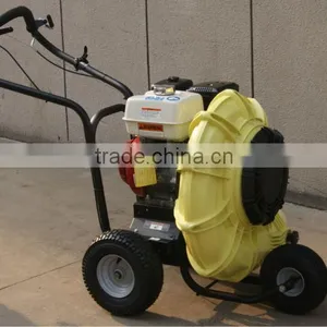 Garden Petrol Leaf Blower thumbnail-5