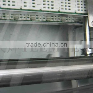 TW-307L Hot Sale Vegetable Washing Machine/ Fruit Washer/Vegetable Cleaning Machine thumbnail-5