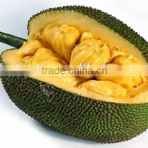Jack Fruit Microwave Vacuum Dryer thumbnail-5