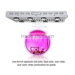 Led Grow Light Tube Light 1000W Vegetable Agricluture Led Grow Light thumbnail-4