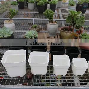 Plastic Colorful More Thickness Square Flower Pot thumbnail-6