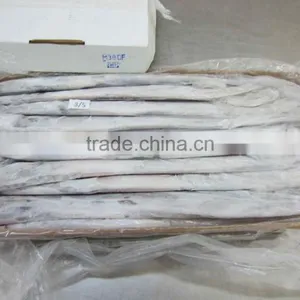 Frozen Belt Fish thumbnail-4