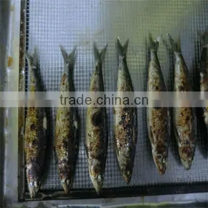 Frozen Well Rosted Fish thumbnail-1