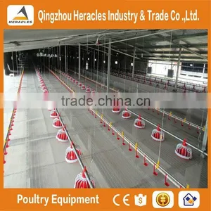 Heracles Trade Assurance Poultry Farm Equipment Automatic Broiler Feeding System thumbnail-6