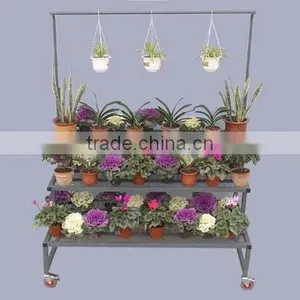 Tri-Step Display Bench With Purlin, Garden Plant Display Racks , thumbnail-2