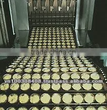 Chicken Flavour Instant Noodles thumbnail-6