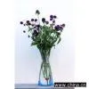 Plastic Foldable Flower Vase thumbnail-1