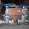 API 600BS1414 Gate Valves thumbnail-1