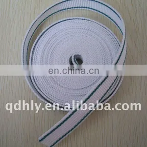 High Tenacity PP Webbing With Colorful Line thumbnail-1