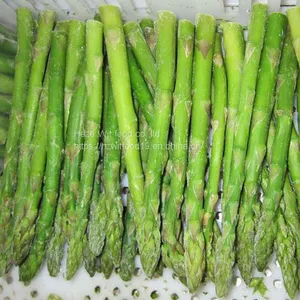 Frozen Asparagus thumbnail-2