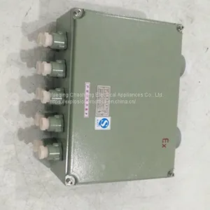 BXJ51 200 200 90 300 300 140 Zeng 'an Explosion-proof Junction Box Terminal Box Distribution Box thumbnail-5