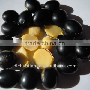 Organic Black Bean(green Kernel,yellow Kernel) thumbnail-1