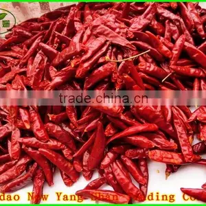 (HOT)TOMATOES/FRESH TOMATOES thumbnail-6