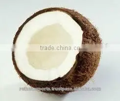 Highclass Coconut From South India thumbnail-4