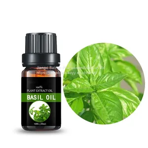 Factory Supply Basil Oil Body Skin Care Basil Essential Oil thumbnail-4