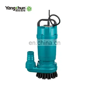 High Efficiency 0.75KW 220V Submersible Water Pump For Cleaning Water thumbnail-1