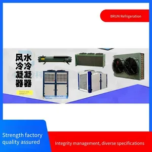 Seafood Cold Storage, Borun Refrigeration Chiller Unit, 30 Hp, 6wd - 30.2, With Years of Experience in Cold Storage, 10 hp Unit, With Years of Experience, With Years of Experience thumbnail-5