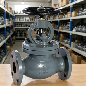 JIS F7312 Marine J Type Cast Steel Flange Globe Valve | DN25-DN300 CCS BV Approved thumbnail-2