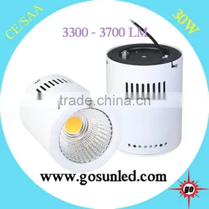 Most Popular 5 Years Warranty CE RoHS Approval 30w Surface Mounted Downlight thumbnail-1