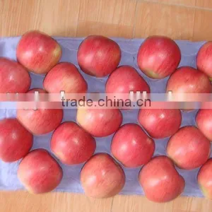 New Season Fresh Qinguan Apple thumbnail-1
