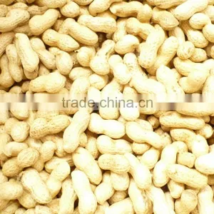 Peanut Kernel;blanched Peanut;peanut Inshell; Fried Peanut;roasted Peanut Inshell thumbnail-3