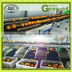Automatically Conveying Peach Weight Grading Machine thumbnail-1