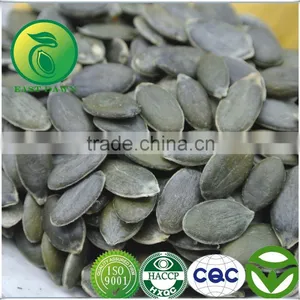 Form Pumpkin Seeds GWS (Grown Without Shell) Oil thumbnail-1