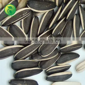 NON GMO Sunflower Seeds/Sunflower Seeds Kernel/Salted Sunflower Seeds thumbnail-6