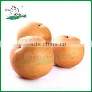 Export New Fresh Fengshui Pear /China Delicious Nashi Pear thumbnail-1