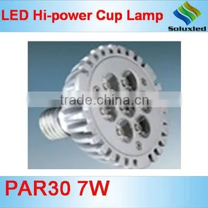 PAR30 Led Spotlight thumbnail-1
