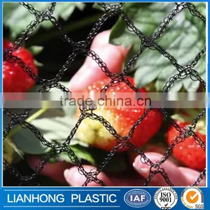Bird Netting for Fruit Trees Treated With UV With Original HDPE Plastic Netting, Commercial Plastic Knitted Mesh Anti Bird Net thumbnail-3