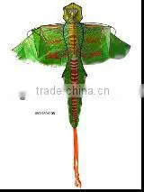 Kites thumbnail-1