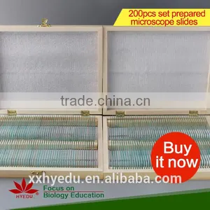 Butterfly W.m. Slides, Glass Prepared Slides,Butterfly Mouthpart Prepared Slides thumbnail-1