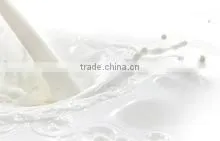 MILK thumbnail-3