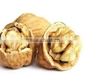 2012 New Walnuts Crop thumbnail-1