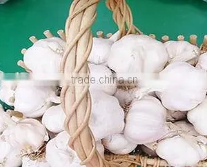 Hot Sale 2016 Fresh Chinese Normal White Garlic thumbnail-3