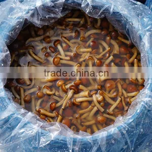 All Kinds of Canned Foods Raw Mushroom thumbnail-2