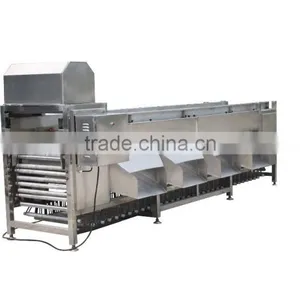 OG-606 CE Qualified Vegetable and Fruit Sorting Machine thumbnail-2