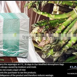 Asparagus Protection Bag thumbnail-1