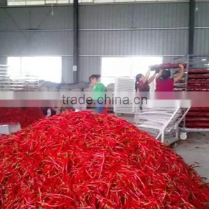 Hot Air Circulation Industrial Pepper Drying Machine thumbnail-4