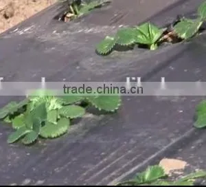 High Quality Agricultural Ground Cover thumbnail-5