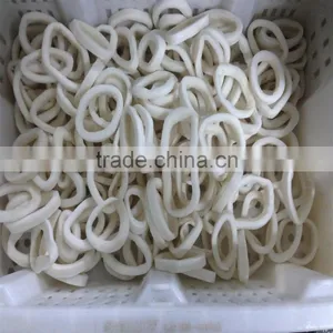 IQF Pacific Squid Rings (Todarodes Pacificus) thumbnail-4