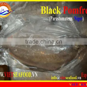 W/R FROZEN BLACK POMFRET thumbnail-1