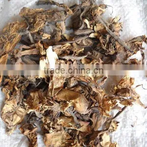 Nilofer Dry Extract thumbnail-1