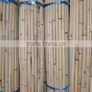White Malacca Cane thumbnail-1