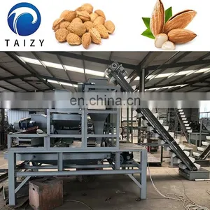 Automatic Nut Cracker Jujube Hazelnut Production Line Almond Processing Line Almond Cracking Machine thumbnail-7