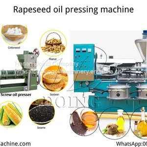 Small Scale Sunflower Oil Production Line thumbnail-2